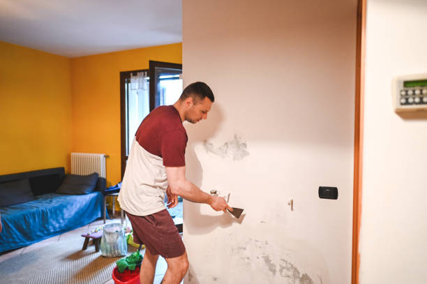 Best Basement Mold Remediation in Ridgely, TN